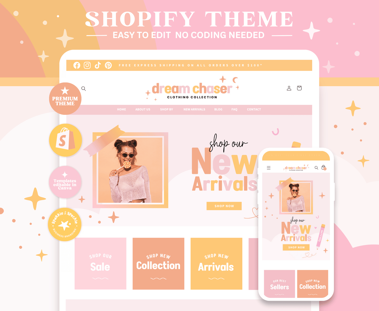 Dream Chaser Colorful Shopify Theme