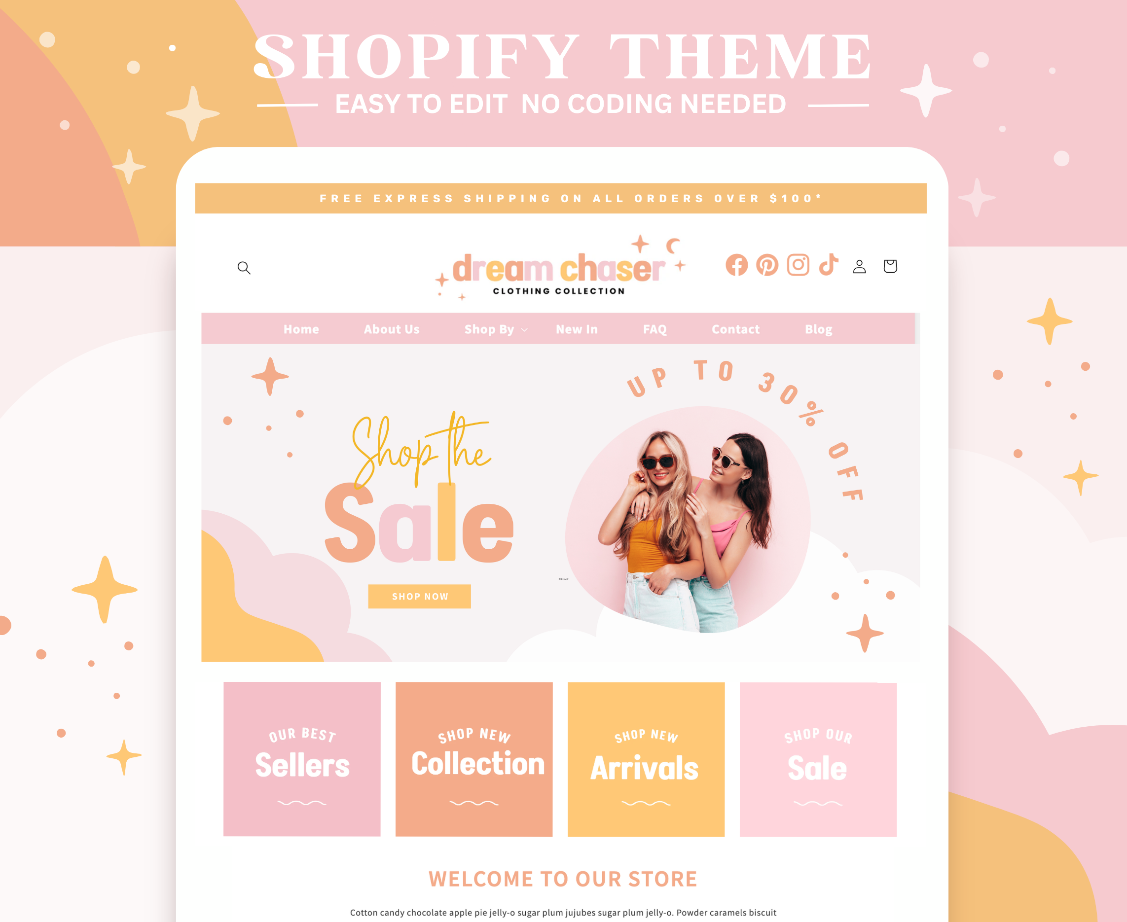 DREAM CHASER SHOPIFY THEME